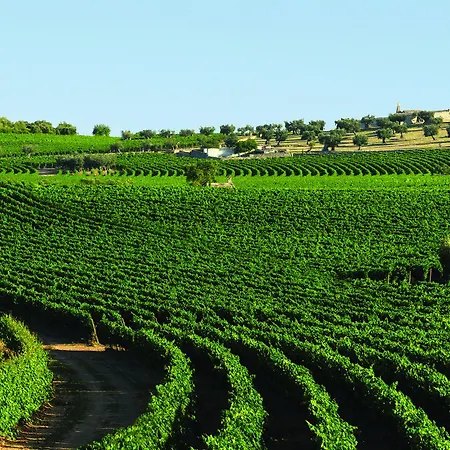 Masseria Amastuola Wine Séjour à la ferme Crispiano
