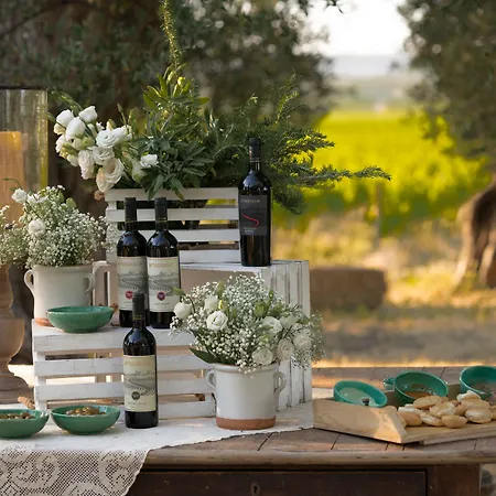 Masseria Amastuola Wine * Crispiano